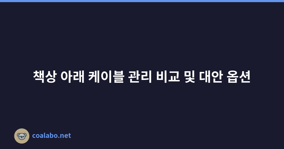 책상 아래 케이블 관리 비교 및 대안 옵션