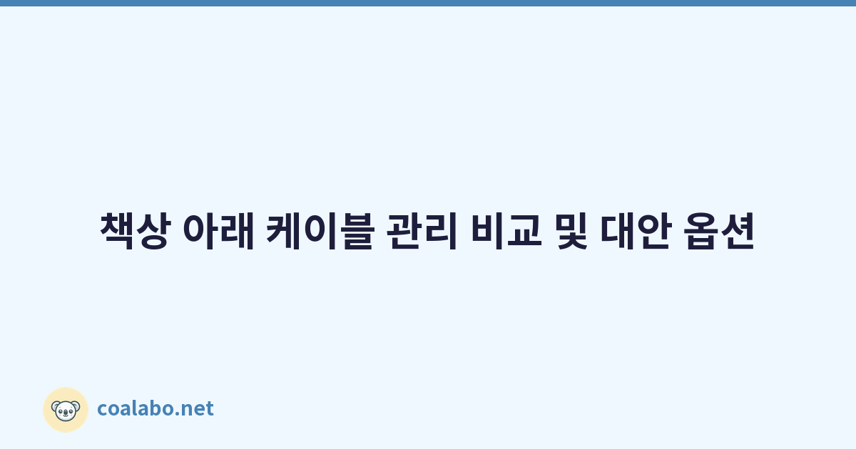책상 아래 케이블 관리 비교 및 대안 옵션